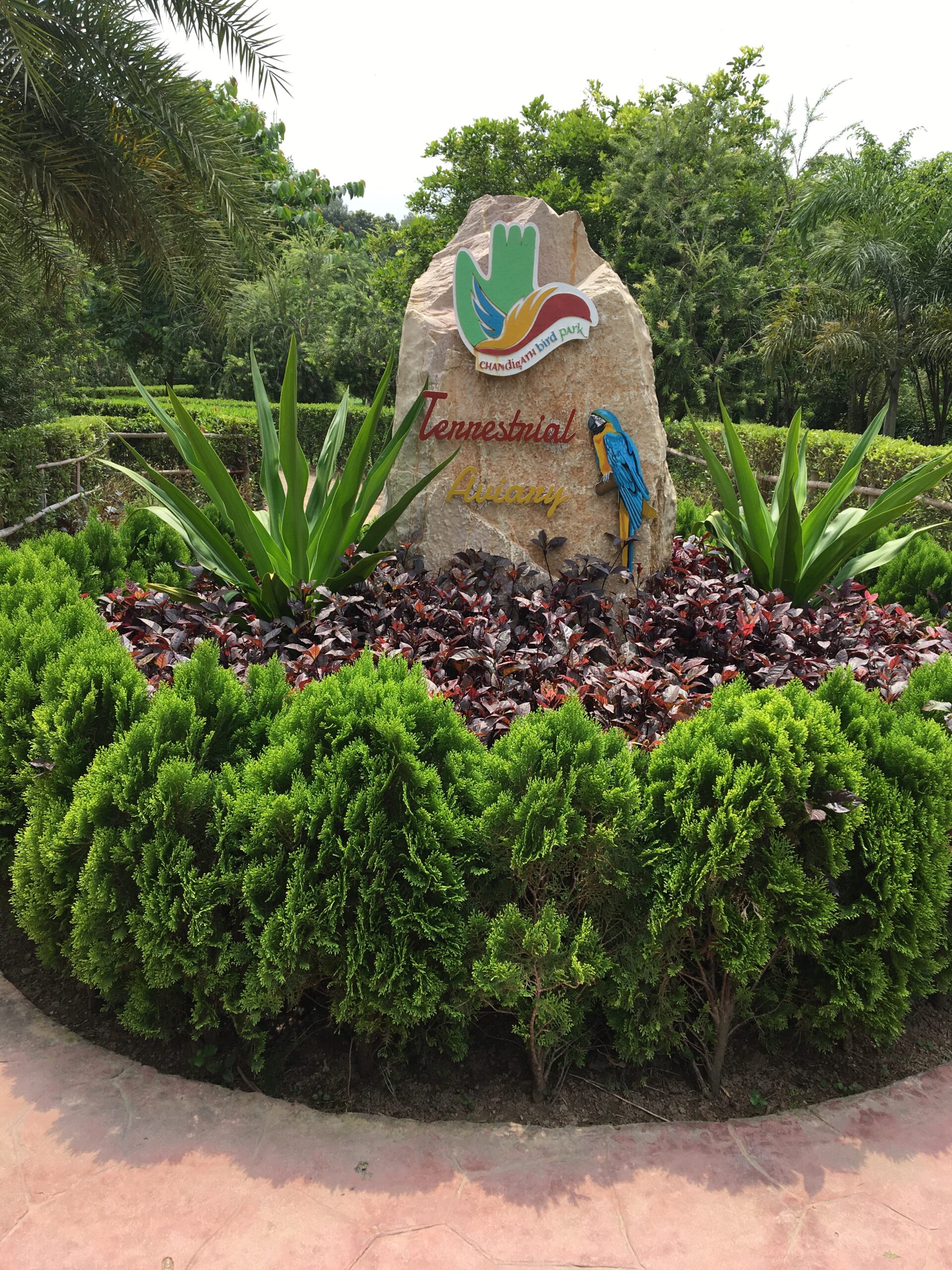 How to take care of elderly people