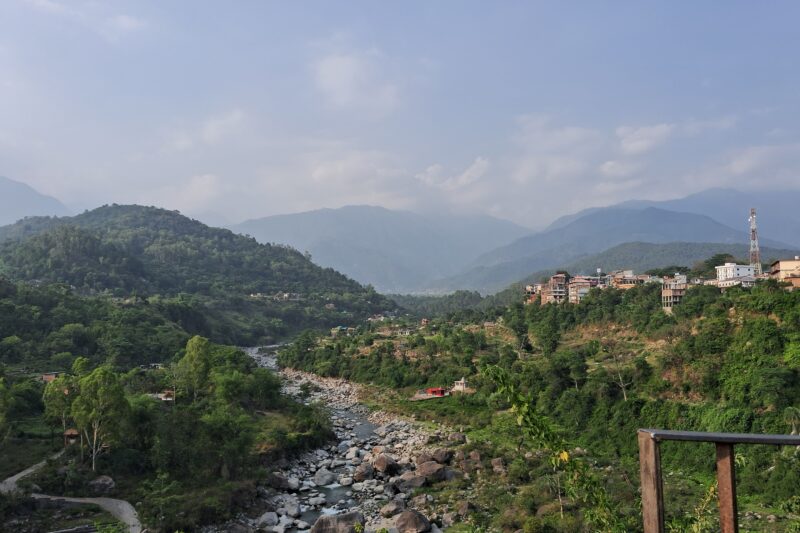 How to remove Racism from Human Society