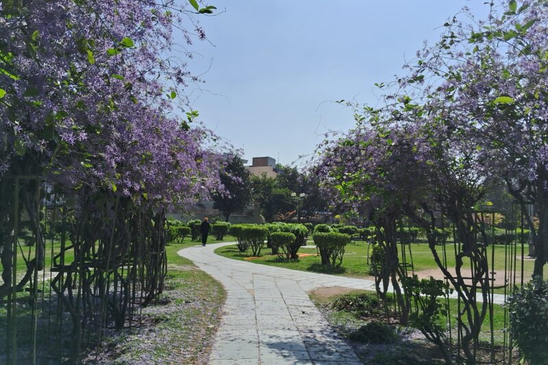 Right Action at Right Time is the Key to Success