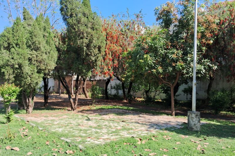 What is an Ideal State of Mindset ?